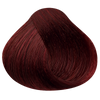 Xora Hair Color Dark Red Plum (5.6)