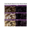 Satin Hair Color Violet Black (1V)