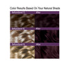 Satin Hair Color Violet Brown (4V)